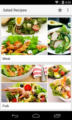 Salad Recipes android App screenshot 10