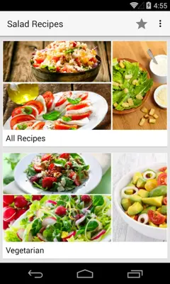 Salad Recipes android App screenshot 11